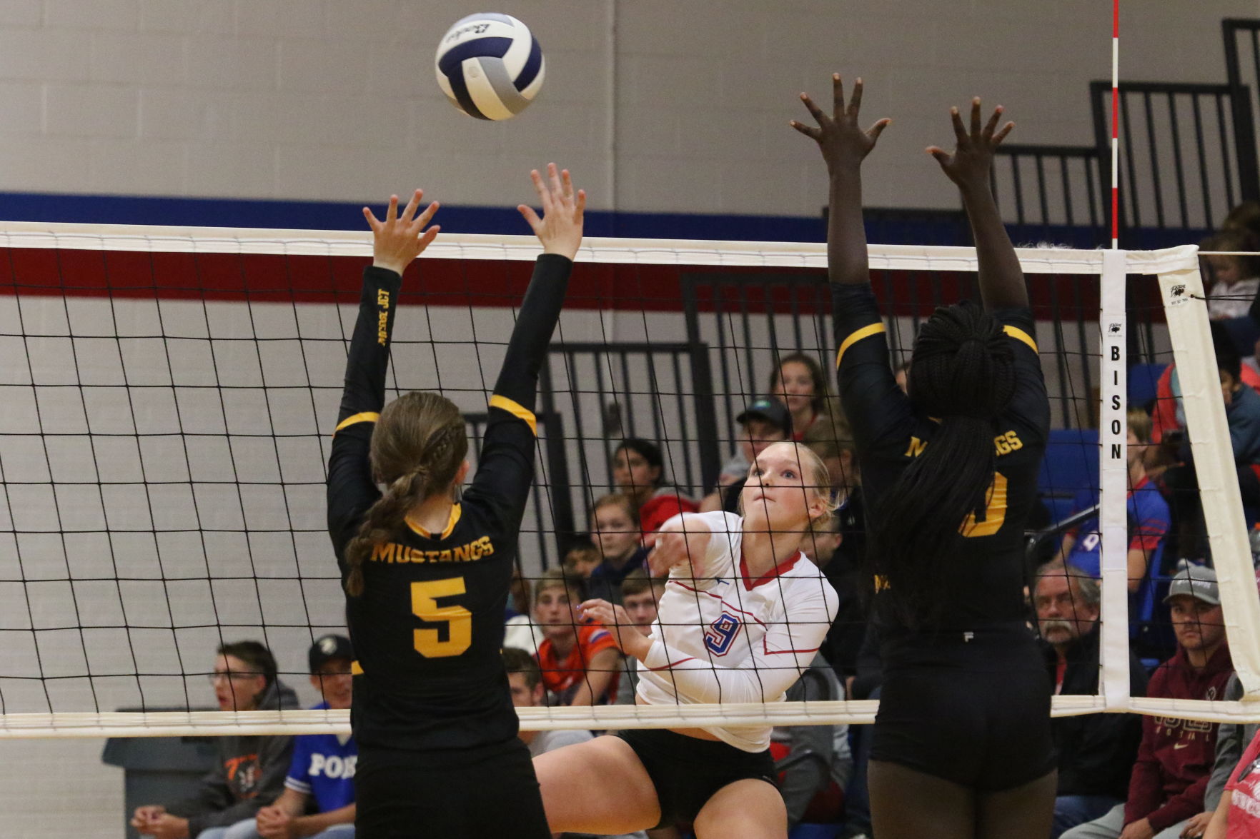 Volleyball (13).JPG